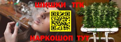 МДПВ Старая Купавна