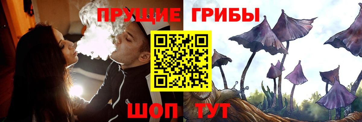 где купить наркоту  Вход с VPN  Нижний Тагил  Псилоцибиновые грибы Psilocybine cubensis 